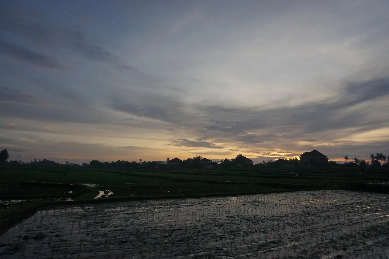 Hotel Pondok Uma Ubud Affittacamere