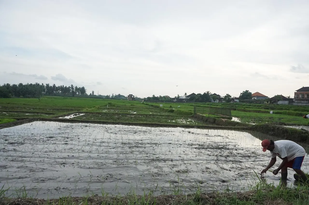 Affittacamere Hotel Pondok Uma Ubud